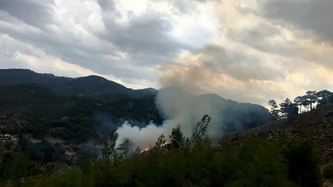 MUĞLA'DA 8 NOKTADA YILDIRIM YANGINLARI ÇIKTI