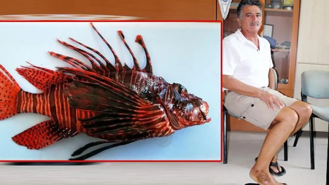 ZIPKINLA AVLADIĞI ASLAN BALIĞI YÜZÜNDEN AZ DAHA ÖLÜYORDU