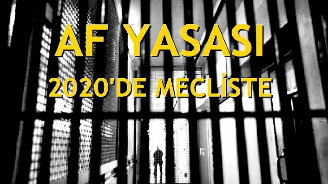 Af Yasası 2020'de Meclis'te