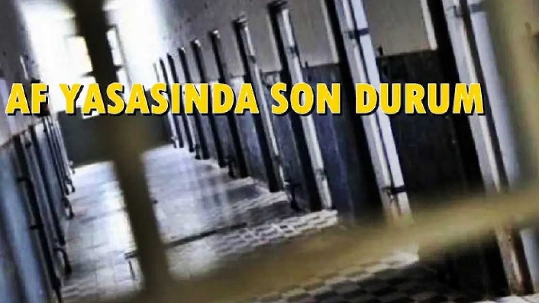 Af Yasasında Son Durum