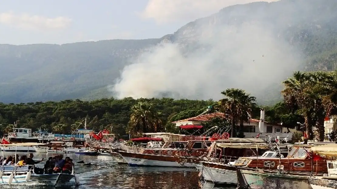 Akyaka'da Orman Yangını Korkusu!