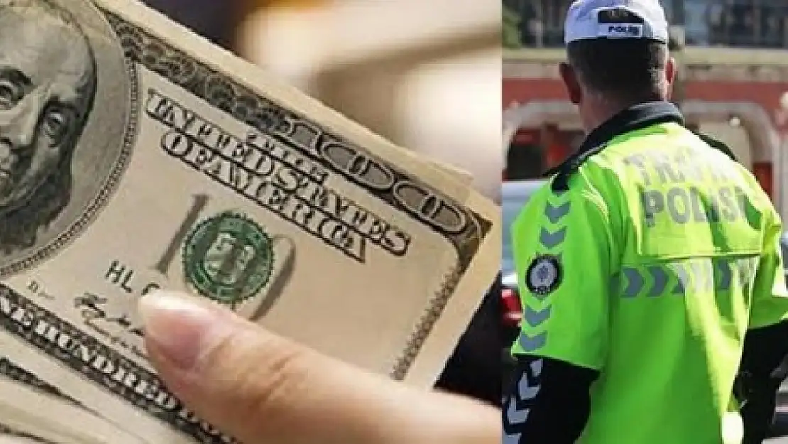 ALKOLLÜ SÜRÜCÜ POLİSE RÜŞVET TEKLİF ETTİ