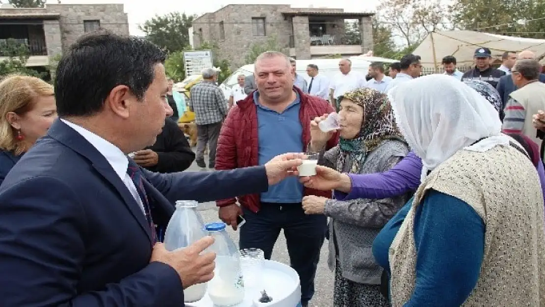 Bodrum Halk Süt yok satıyor