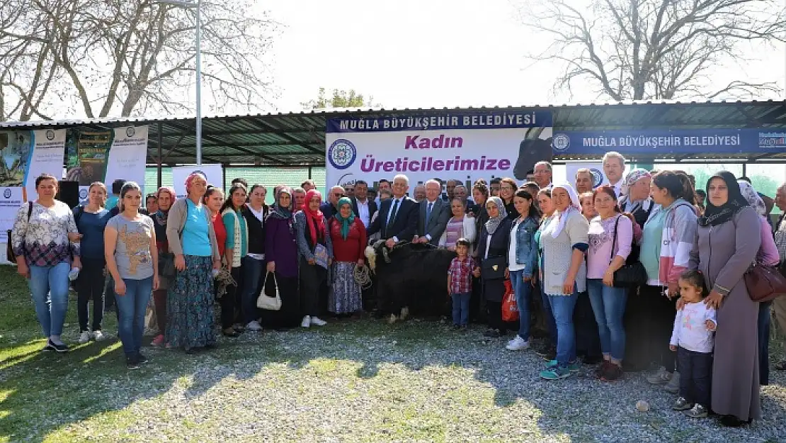BÜYÜKŞEHİR 40 KADIN ÜRETİCİYE 120 KIL KEÇİSİ DAĞITTI