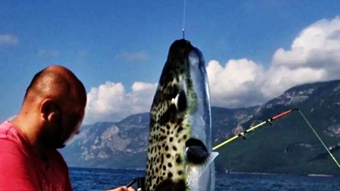 GÖKOVA'DA 'BALON' PANİĞİ