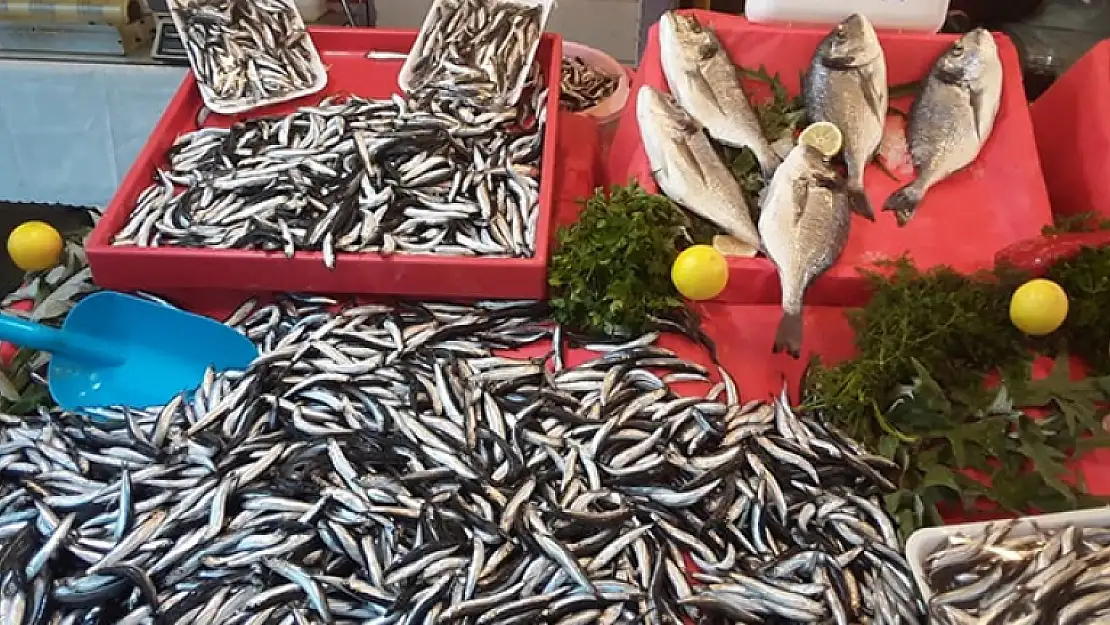 Havalar Soğudu, Hamsi Yüzde 50 Zamlandı!