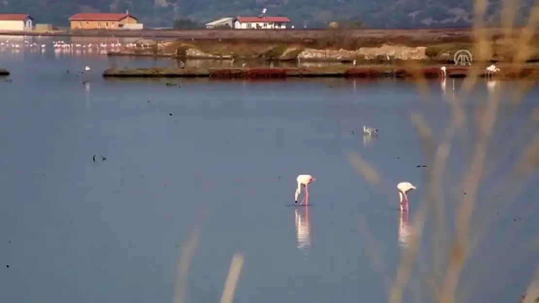 MİLAS'IN ULUSAL ÖNEME HAİZ SULAK ALANI BÜYÜLÜYOR