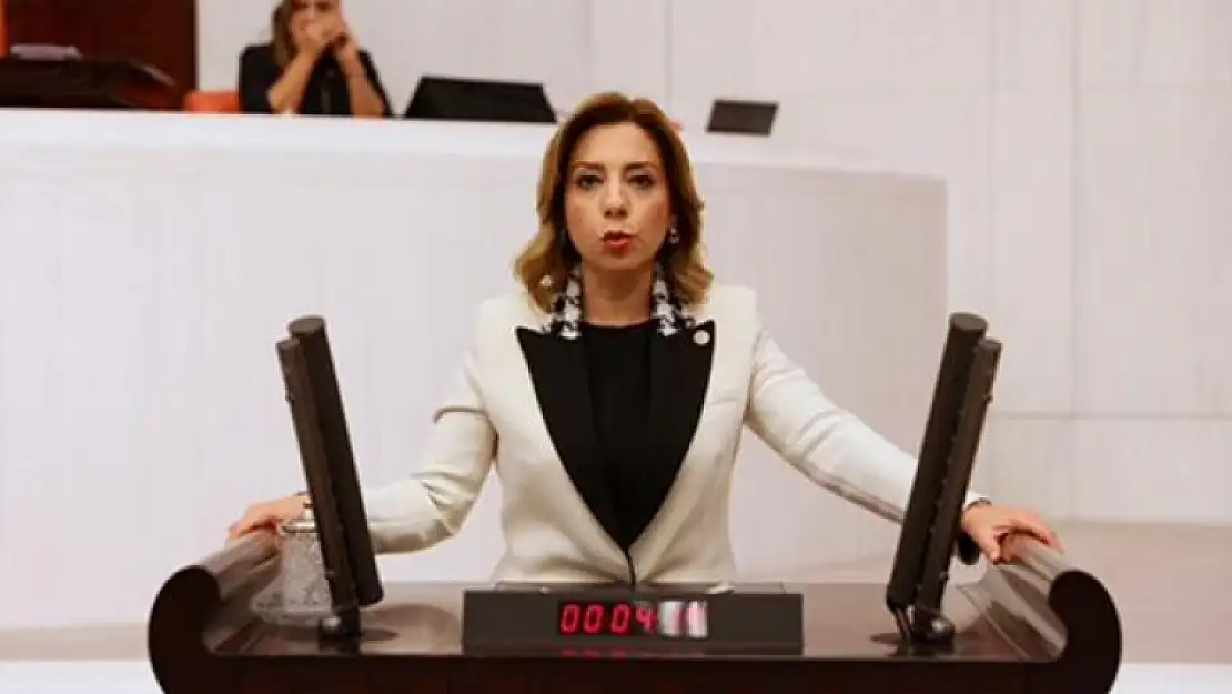 AK Parti Muğla Milletvekili Gökcan'dan Engelliler Günü Mesajı