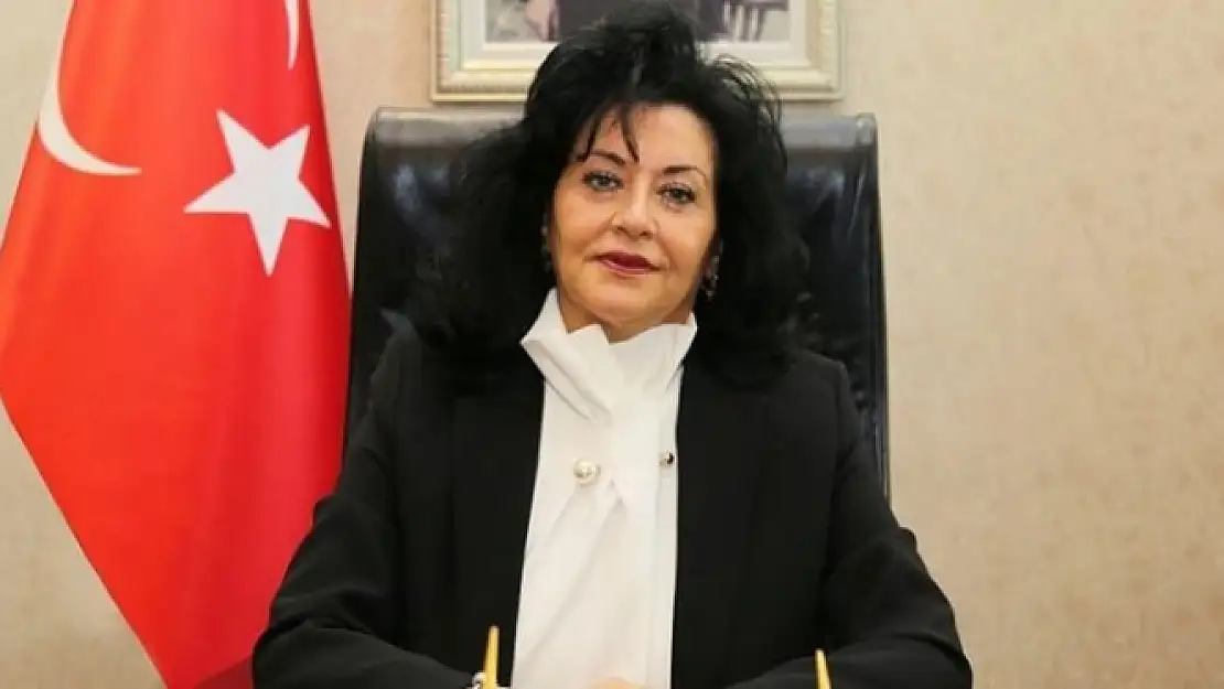 Vali Civelek'ten Dünya Engelliler Günü Mesajı