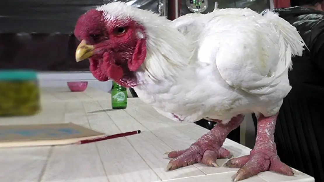 Yatağan'da Sezonun İlk Mezatı: Çorbası 350 Dolar