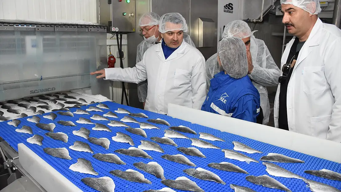 TARIM VE ORMAN BAKANI BODRUM'DA:'2023 BALIK İHRACATI HEDEFİ: 2 MİLYAR DOLAR'