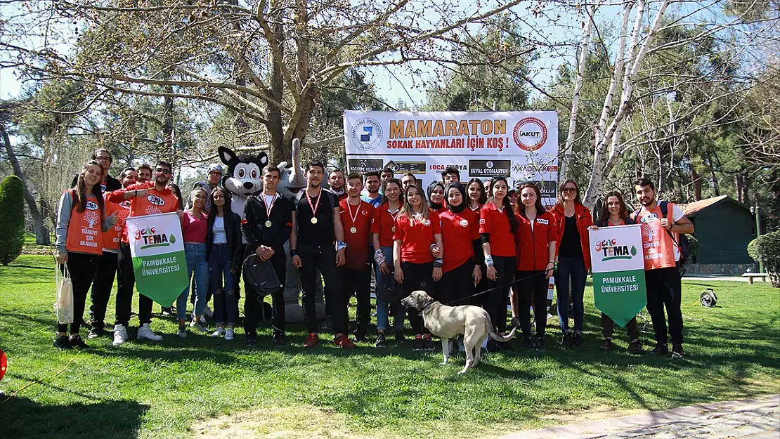 SOKAK HAYVANLARI İÇİN 'MAMARATON