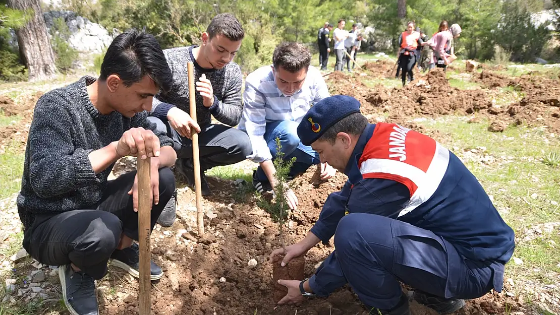 ŞEHİT HÜSEYİN ÖZÇELİK İÇİN 800 FİDAN DİKİLDİ