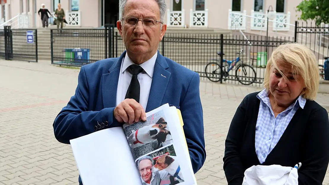 'KÖPEĞİMİ BELEDİYE EKİPLERİ ÖLDÜRDÜ' İDDİASI