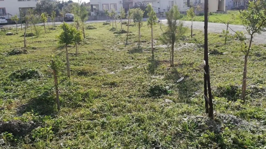 Dalyan Mahallesi'nde Bakım Onarım Çalışması