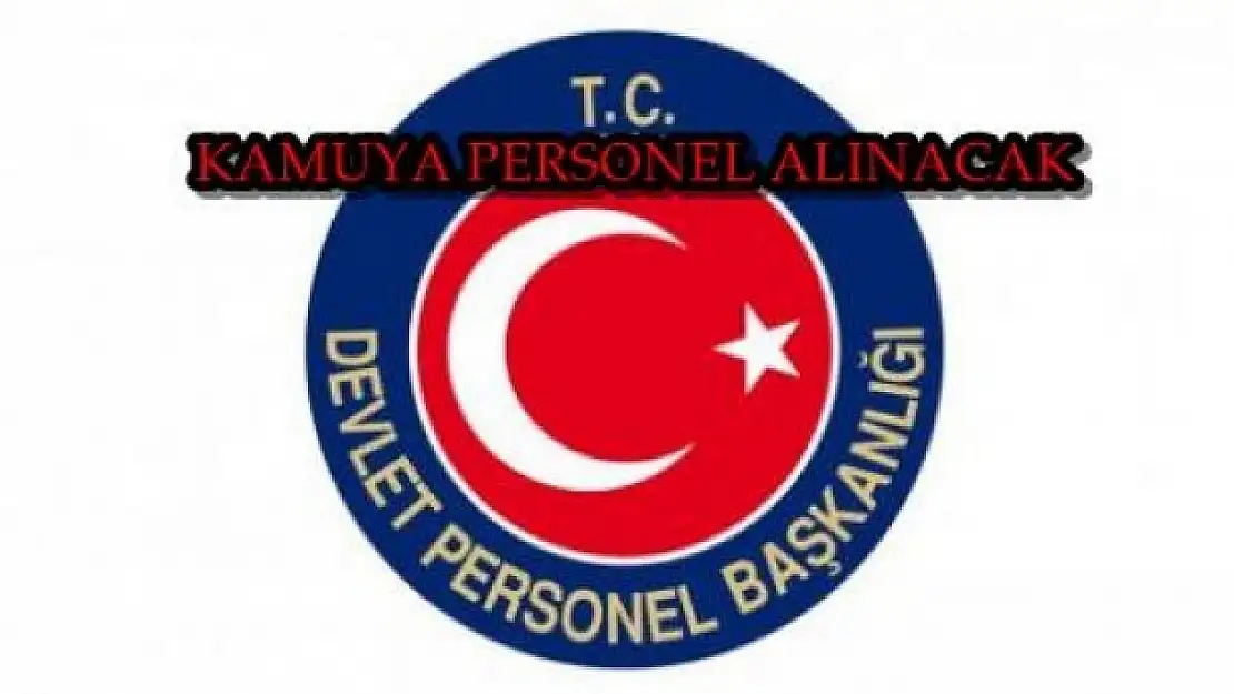 Devlet Personel Başkanlığı Personel İlanı