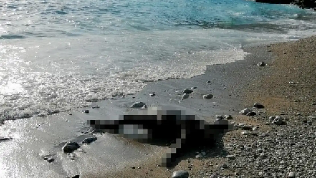 Fethiye'nin Kapıdağı Yarımadası'nda Erkek Cesedi Bulundu!