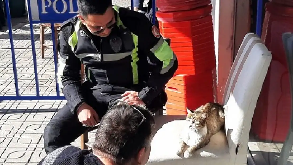Hayvan Dostu Bodrum Polisinden Örnek Davranış