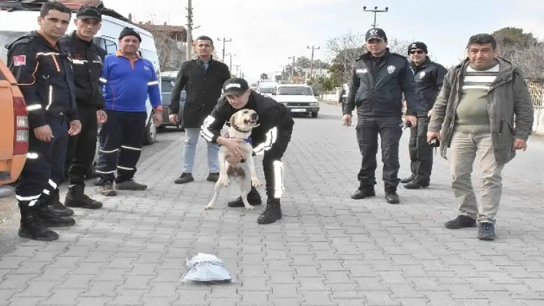 Köyceğiz'de 3 Gün Önce Kaybolan İngiliz Aranıyor