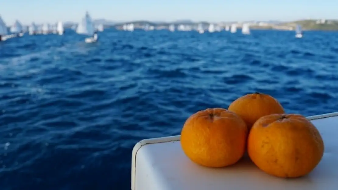 Mandalina Kupası Bodrum Açıklarını Renklendirdi!