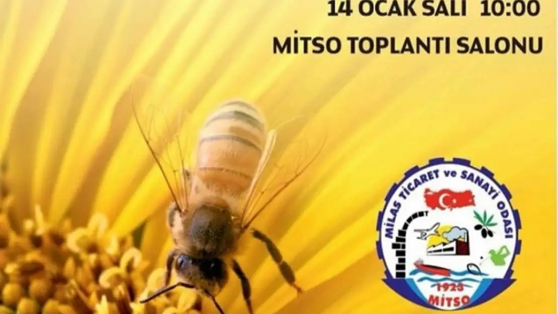 MİTSO ve MAYBİR'den 'Arı ve Bal' Çalıştayı