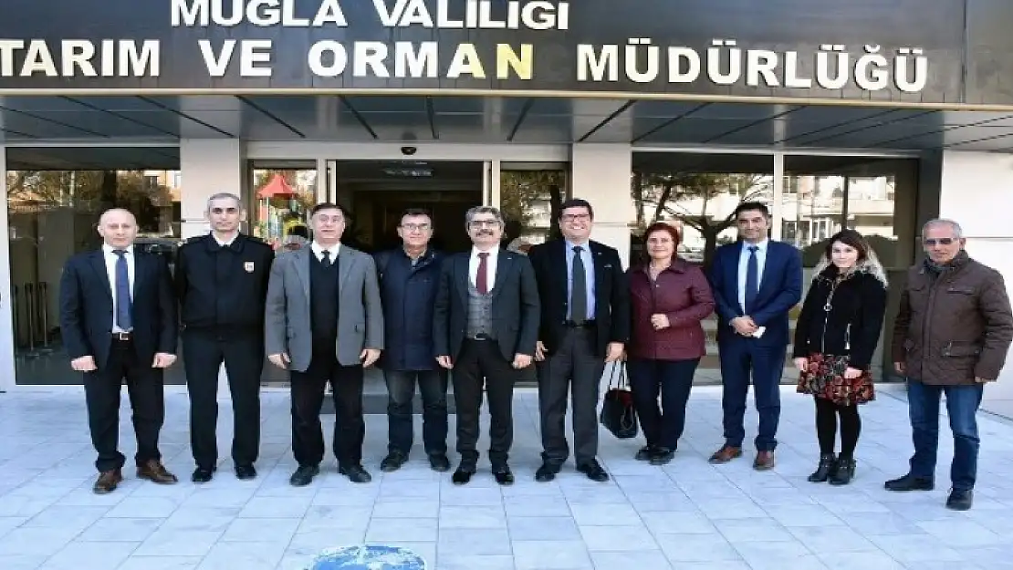Muğla'da Meralarda Hayvan Otlatma Ücretleri Düşürüldü