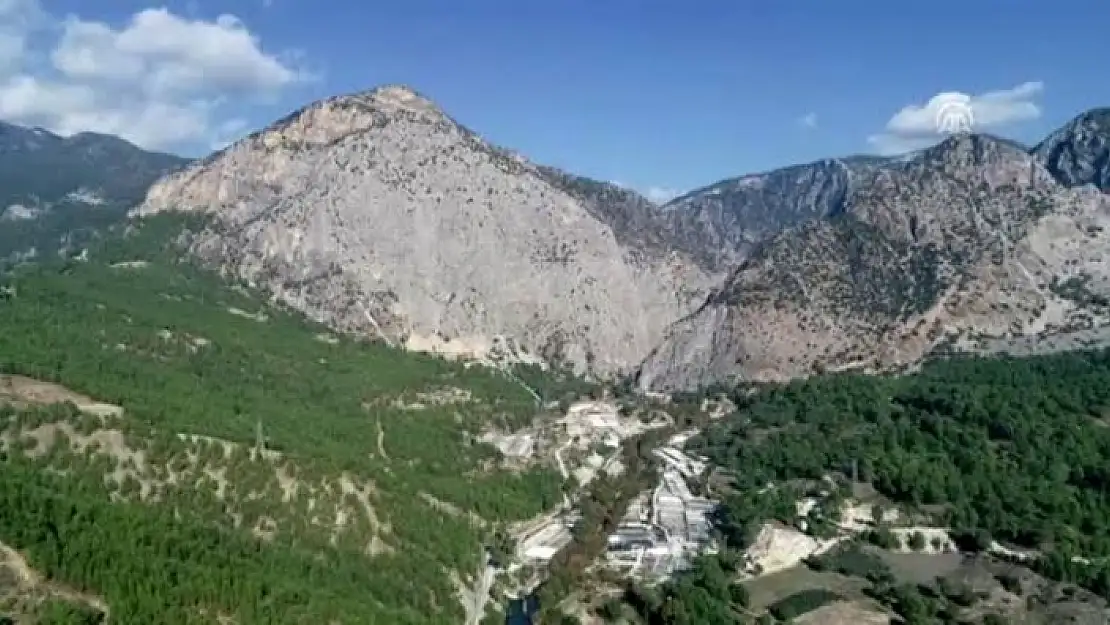 Muğla'daki Tesislerde 600 Milyon Alabalık Üretiliyor