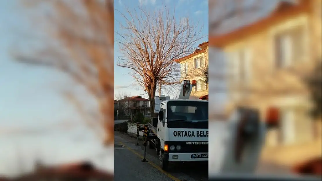 Ortaca Belediyesi Ağaç Budama Çalışması Yapıyor