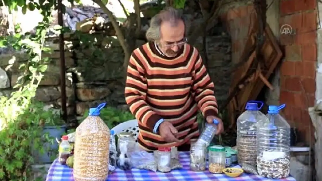 Ata Tohumuyla Serada Organik Sebze Üretimi