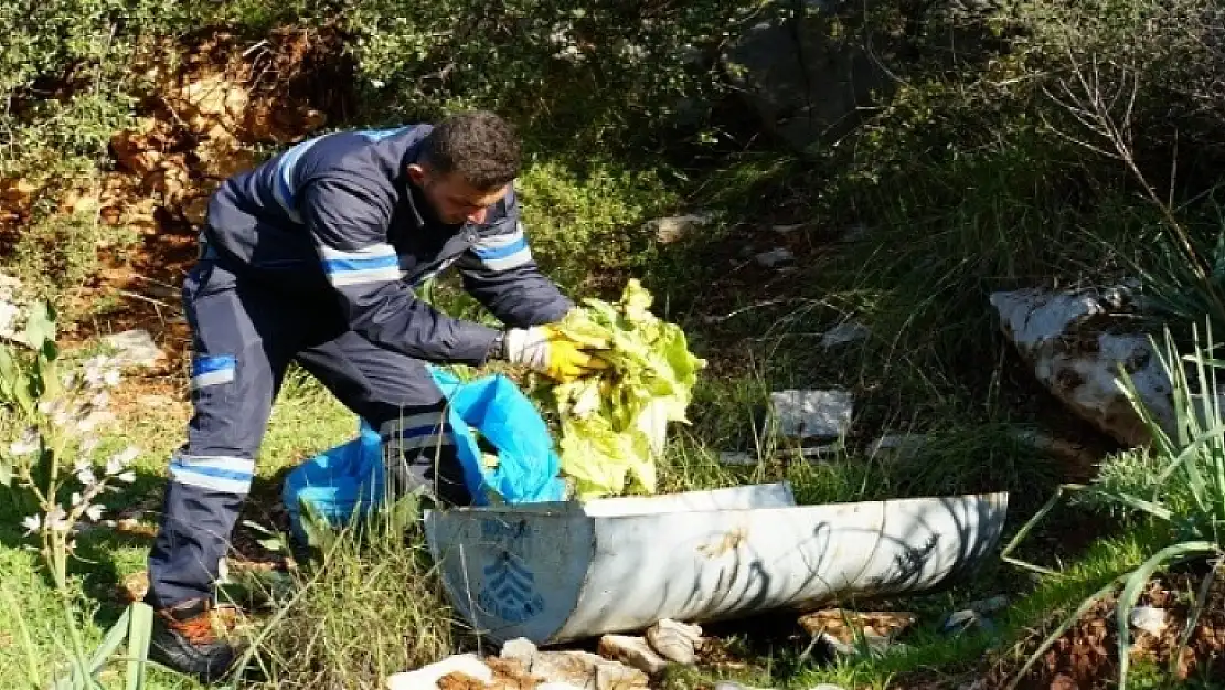 Bodrum'da Yaban Domuzları için Yemlikler Yerleştiriliyor