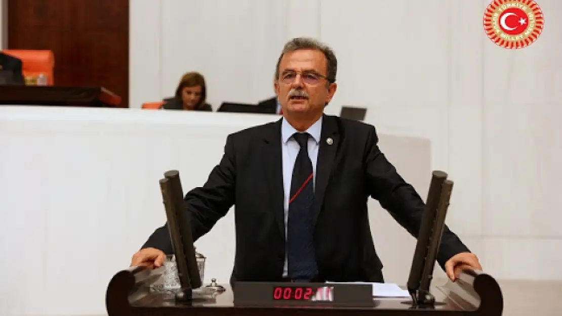 CHPli Vekil Girgin: 'İztuzu Projesi'nde Neden Israr Ediliyor?'