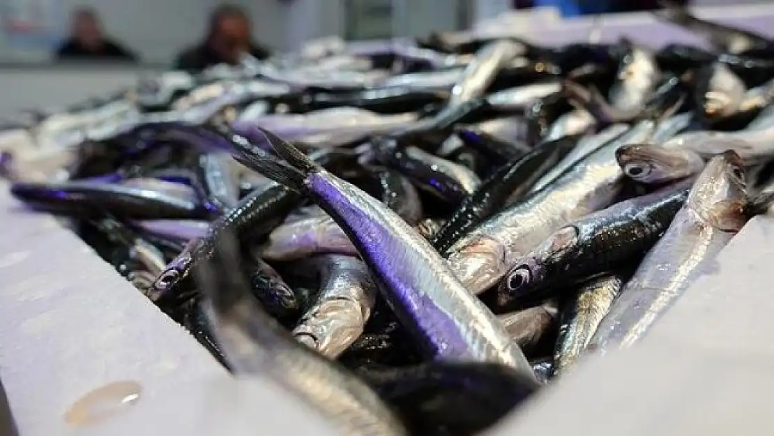 Çin ve Japon Restoranları Hamsi Satmaya Başladı