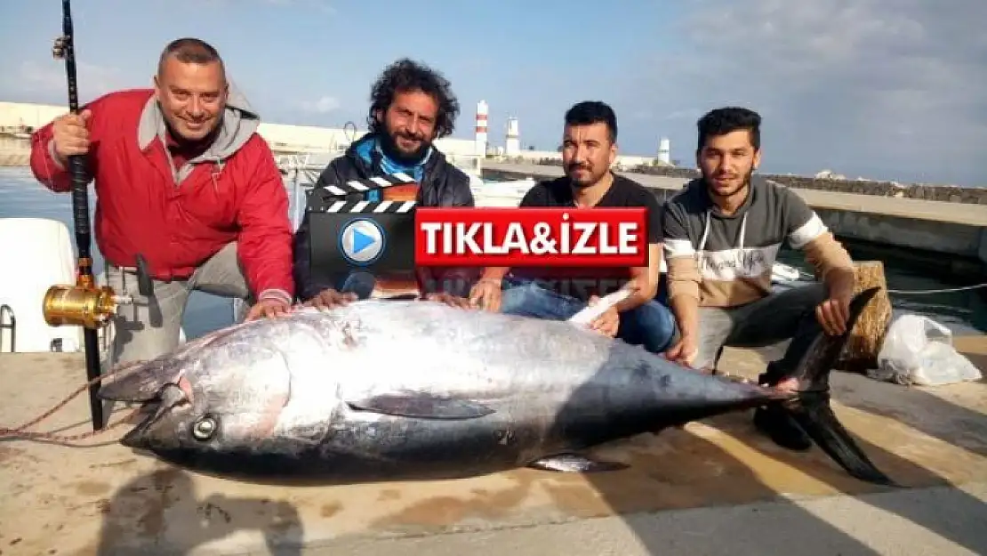 Dev Orkinos Amatör Balıkçıları 8 Saat Sürükledi