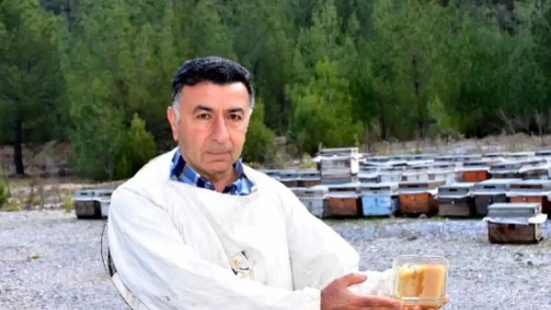 Elitok: 'Donmuş Bal Krem Gibi Olur'