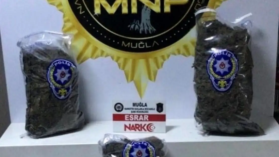 Muğla'da Zehir Tacirlerine Geçit Yok: 5 Gözaltı!
