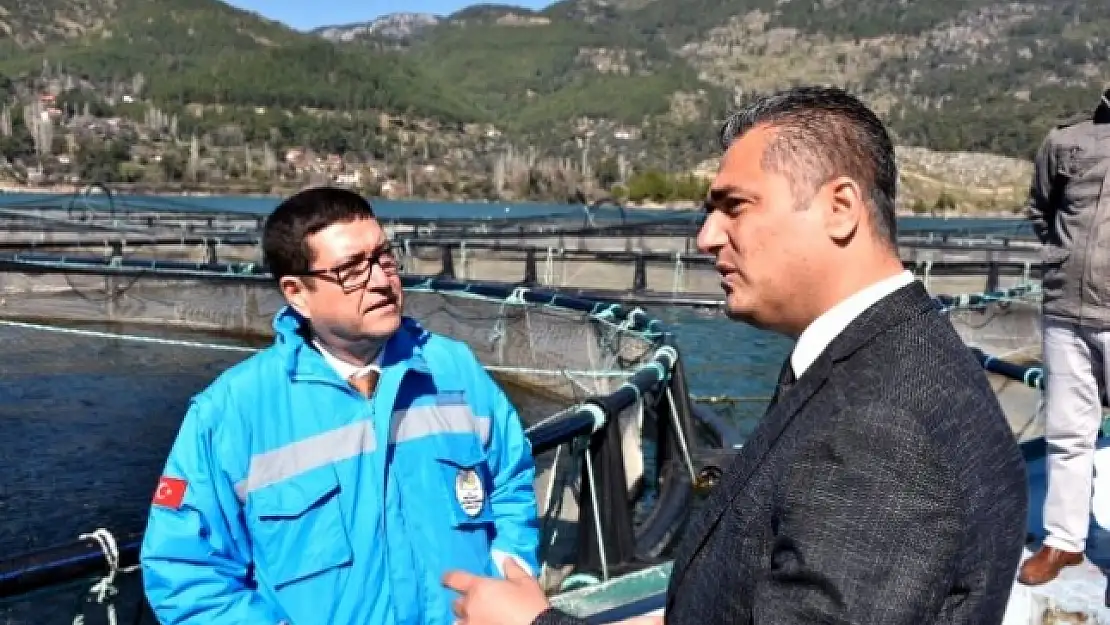 Muğla'nın Alabalık Üretimi 21 Bin Tona Çıktı
