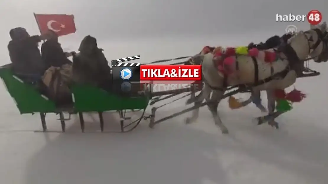 Muğlalılar Çıldır gölü'nde Atlı Kızak Keyfi Yapıyor