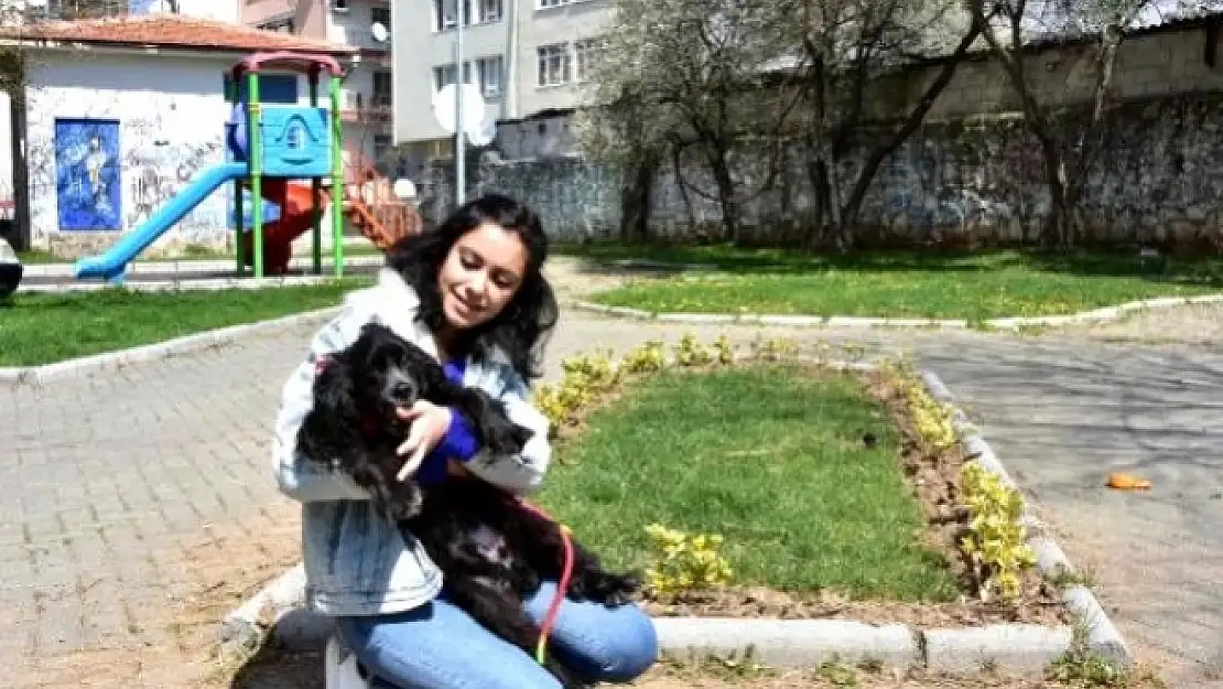 Muğlalı Hayvanseverler Koronavirüs Tedbirini Elden Bırakmıyor