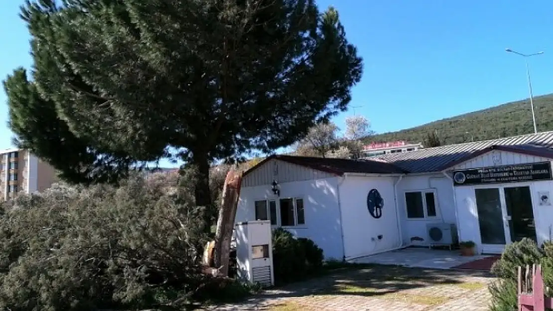 Soğuk Hava ve Kuvvetli Rüzgar Muğla'da Hayatı Olumsuz Etkiliyor