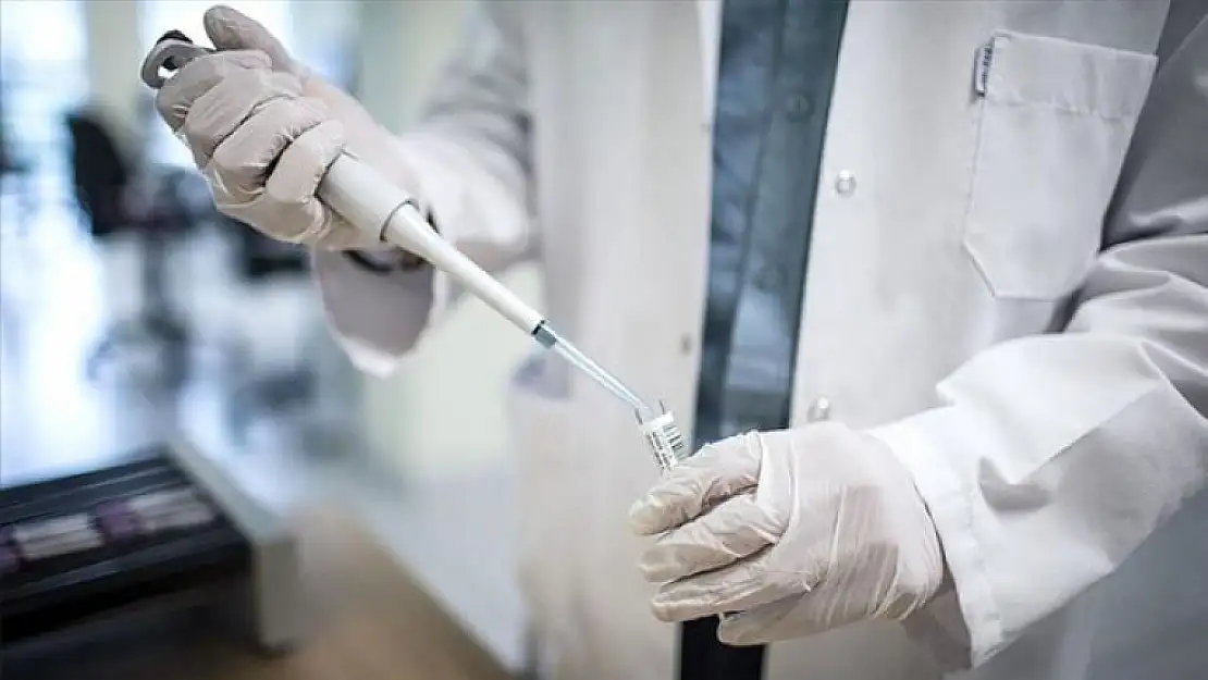 Sağlık Örgütü: Korona Tedavisinde İnsanlı Test Çalışmaları Başladı