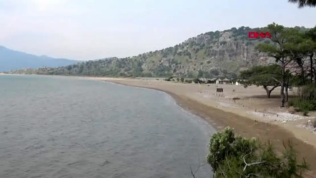 Koronavirüs Tedbirleri Caretta Carettalara Yaradı