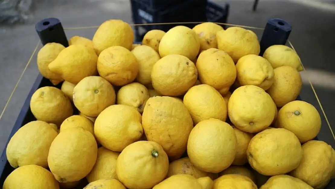 Limon İhracatı Ön İzne Bağlandı!