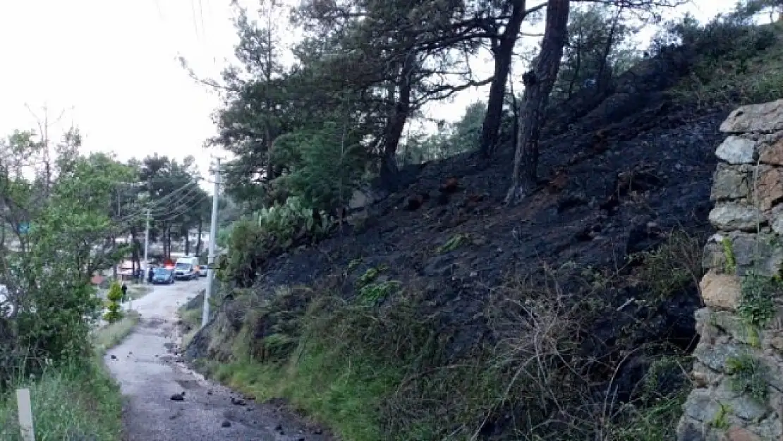 Muğla'da, 2 Dönüm Orman ve 25 Dönüm Sazlık Alan Yandı