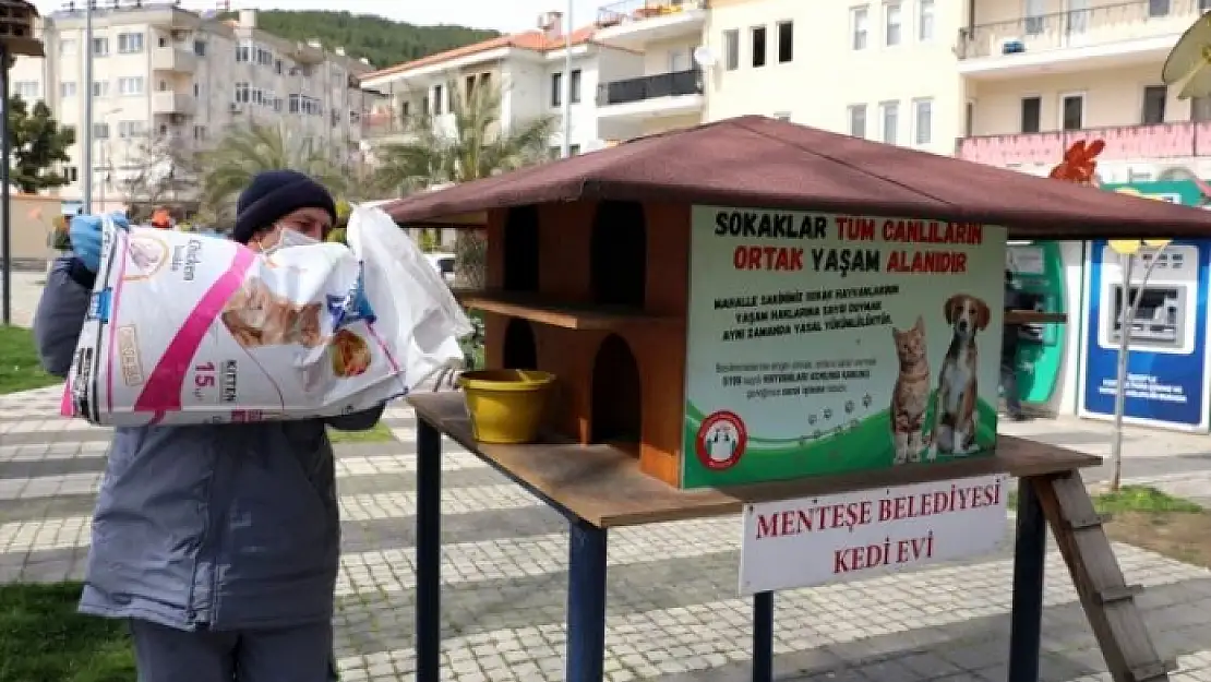 Muğla'da Sokak Hayvanlarına Mama Desteği
