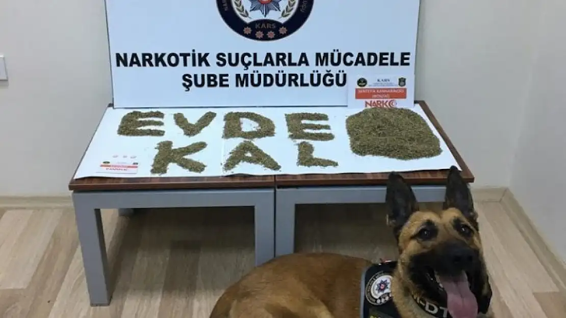 Sentetik Uyuşturucuyla 'Evde Kal' Çağrısı!