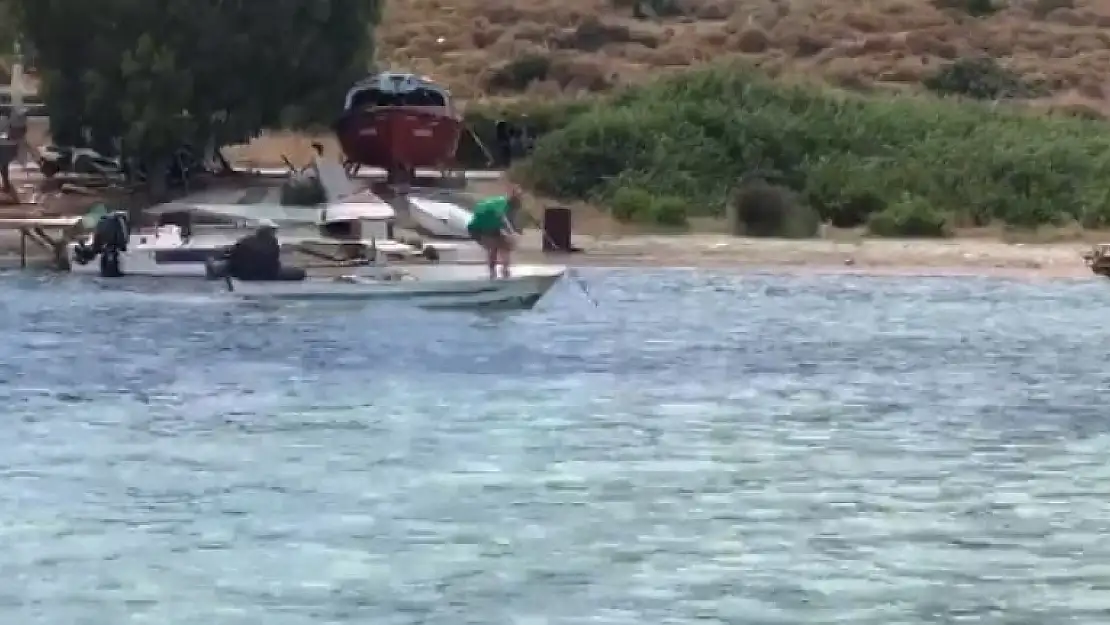 Ekipler Bodrum'da Öldürülen Köpek Balığıyla İlgili Harekete Geçti