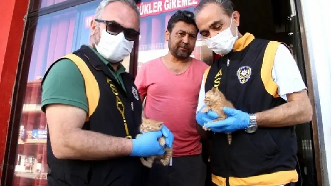 Fethiye'de, Kıraathanede Mahsur Kalan Kedi ve Yavruları Kurtarıldı