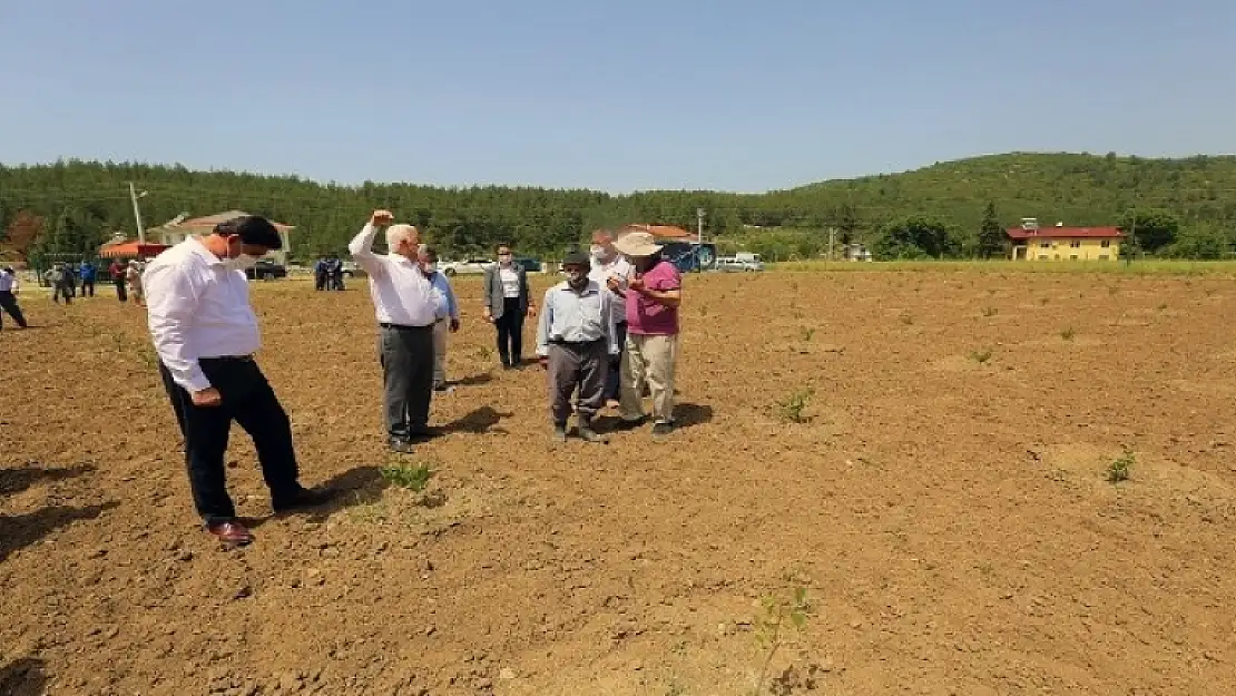 Fethiye'ye Şarap Üretim Fabrikası Açılacak!