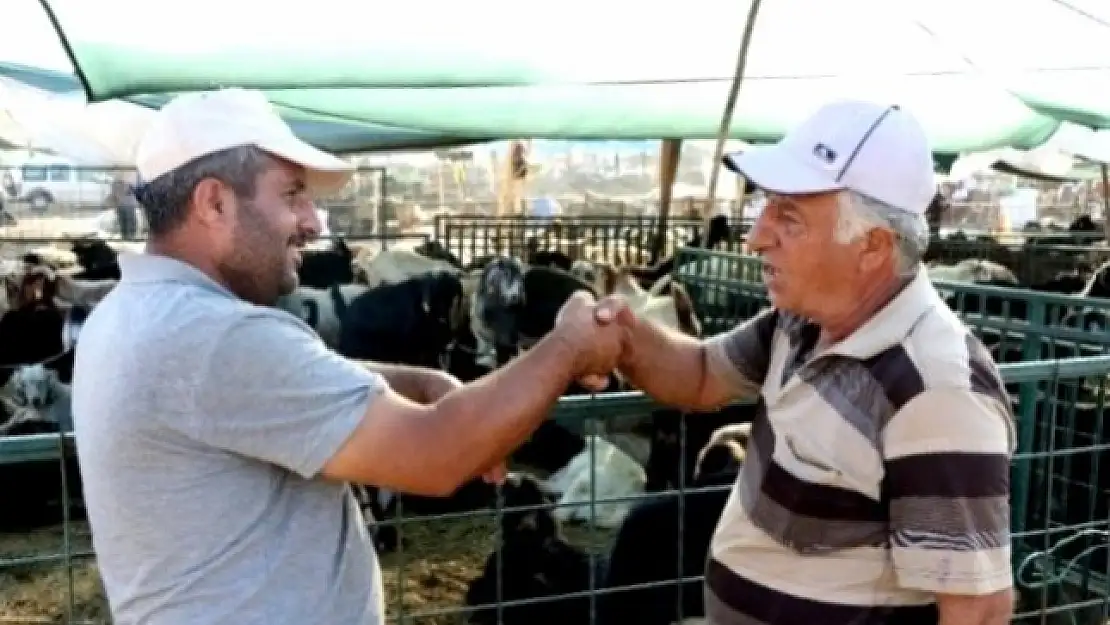 Hayvan Pazarlarında Tokalaşma Tarihe Karışıyor