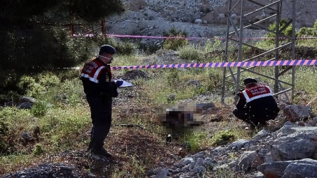 Menteşe'de Yol Kenarında Yanmış Bir Erkek Cesedi Bulundu!